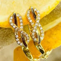 Stainless Steel Earrings
