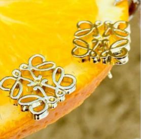 Stainless Steel Earrings