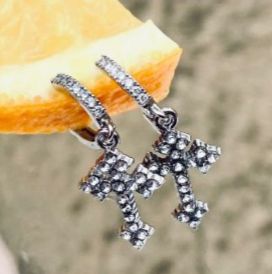 Stainless Steel Earrings