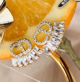 Stainless Steel Earrings